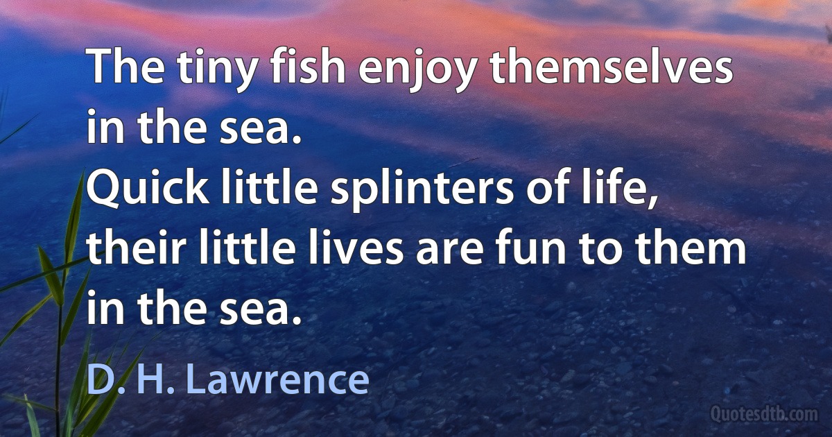 The tiny fish enjoy themselves
in the sea.
Quick little splinters of life,
their little lives are fun to them
in the sea. (D. H. Lawrence)