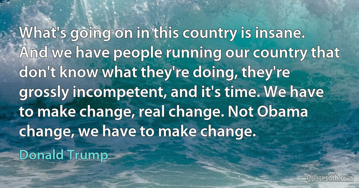 What's going on in this country is insane. And we have people running our country that don't know what they're doing, they're grossly incompetent, and it's time. We have to make change, real change. Not Obama change, we have to make change. (Donald Trump)