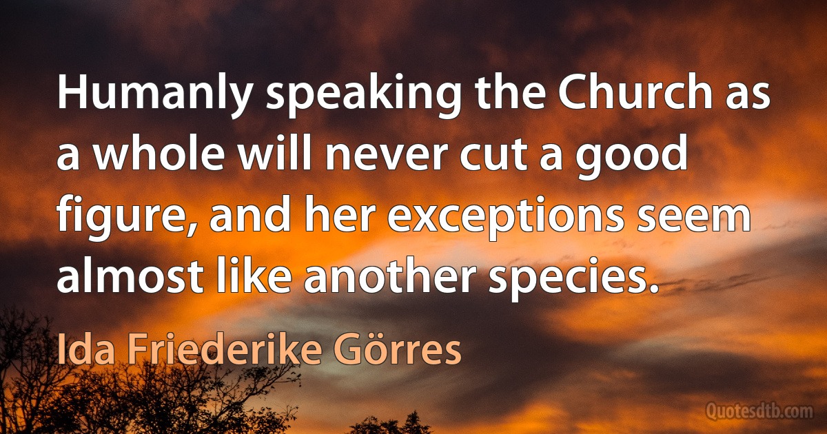 Humanly speaking the Church as a whole will never cut a good figure, and her exceptions seem almost like another species. (Ida Friederike Görres)