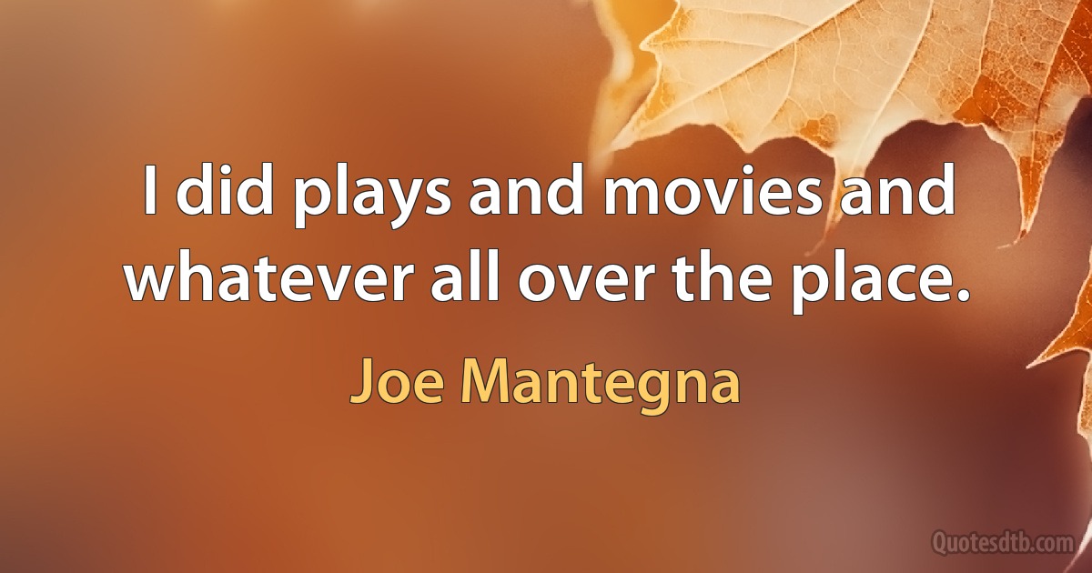 I did plays and movies and whatever all over the place. (Joe Mantegna)