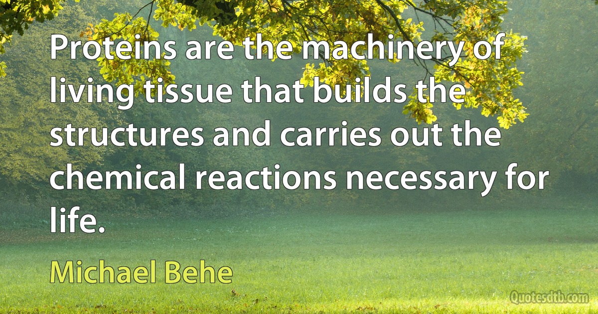 Proteins are the machinery of living tissue that builds the structures and carries out the chemical reactions necessary for life. (Michael Behe)