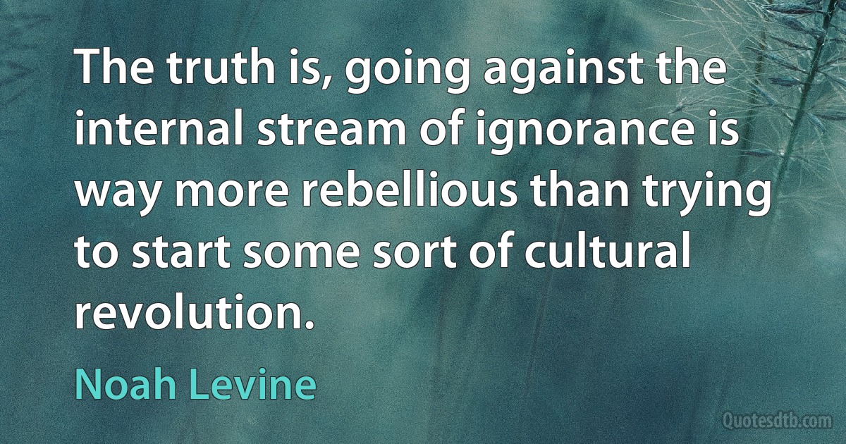 The truth is, going against the internal stream of ignorance is way more rebellious than trying to start some sort of cultural revolution. (Noah Levine)