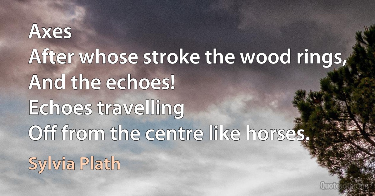 Axes
After whose stroke the wood rings,
And the echoes!
Echoes travelling
Off from the centre like horses. (Sylvia Plath)