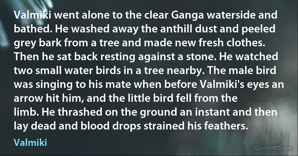 Valmiki went alone to the clear Ganga waterside and bathed. He washed away the anthill dust and peeled grey bark from a tree and made new fresh clothes. Then he sat back resting against a stone. He watched two small water birds in a tree nearby. The male bird was singing to his mate when before Valmiki's eyes an arrow hit him, and the little bird fell from the limb. He thrashed on the ground an instant and then lay dead and blood drops strained his feathers. (Valmiki)