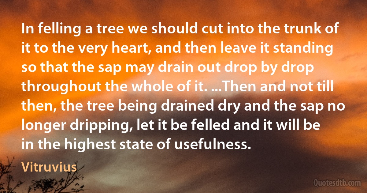 In felling a tree we should cut into the trunk of it to the very heart, and then leave it standing so that the sap may drain out drop by drop throughout the whole of it. ...Then and not till then, the tree being drained dry and the sap no longer dripping, let it be felled and it will be in the highest state of usefulness. (Vitruvius)