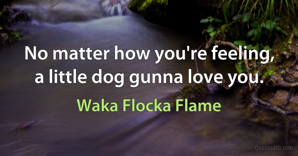 No matter how you're feeling, a little dog gunna love you. (Waka Flocka Flame)