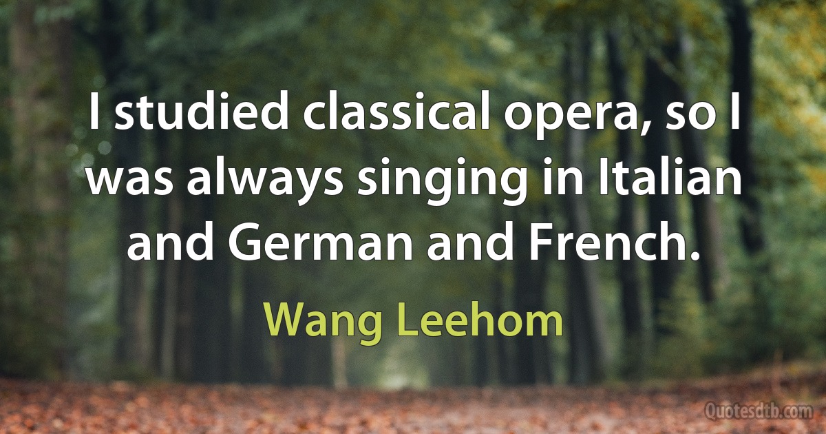 I studied classical opera, so I was always singing in Italian and German and French. (Wang Leehom)