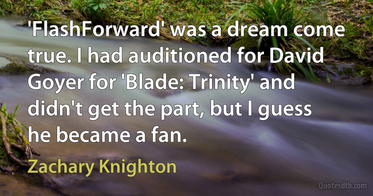 'FlashForward' was a dream come true. I had auditioned for David Goyer for 'Blade: Trinity' and didn't get the part, but I guess he became a fan. (Zachary Knighton)