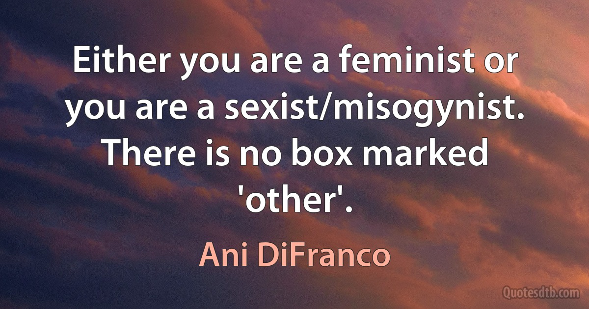 Either you are a feminist or you are a sexist/misogynist. There is no box marked 'other'. (Ani DiFranco)