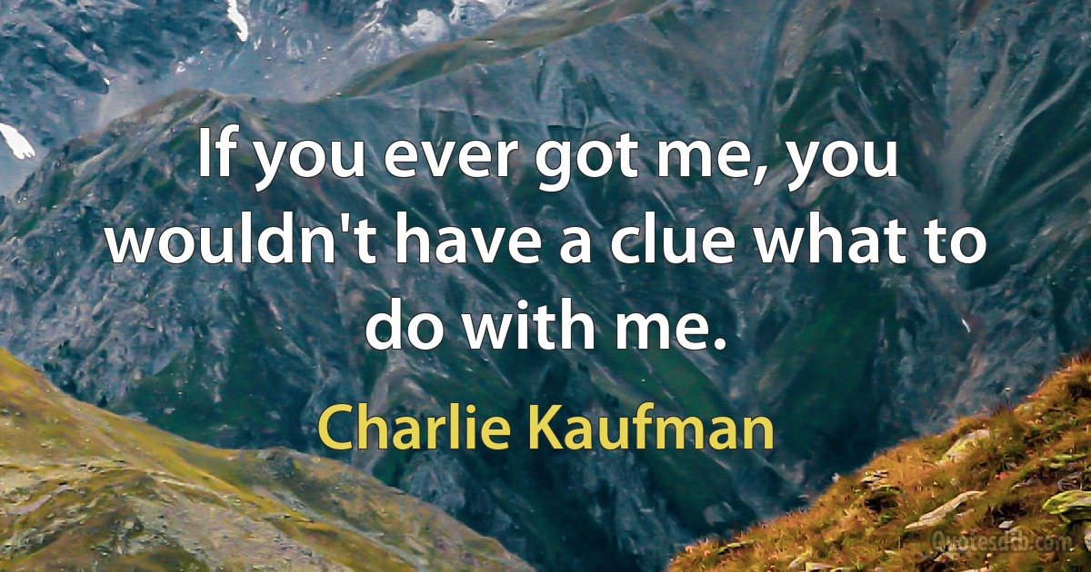 If you ever got me, you wouldn't have a clue what to do with me. (Charlie Kaufman)