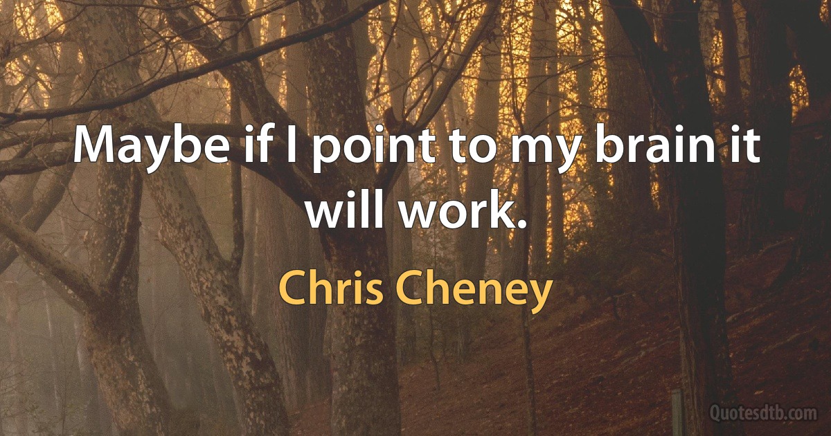 Maybe if I point to my brain it will work. (Chris Cheney)