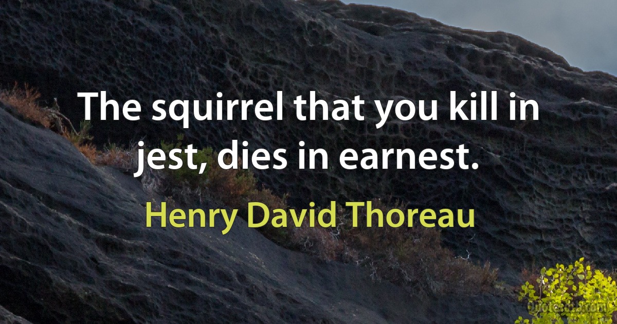 The squirrel that you kill in jest, dies in earnest. (Henry David Thoreau)