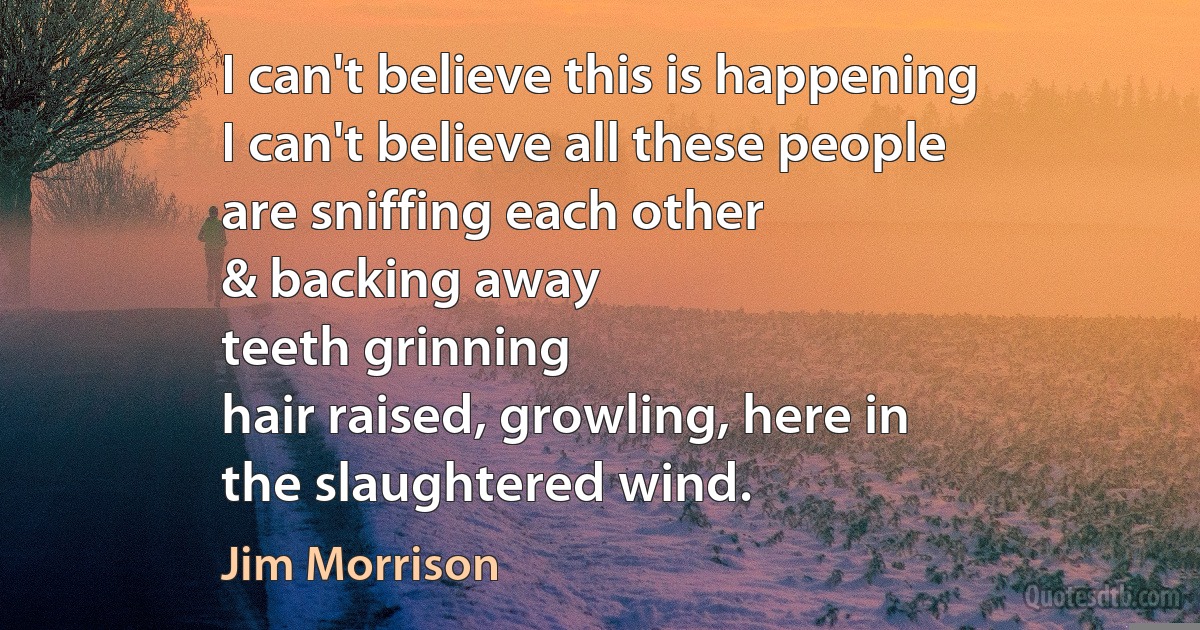 I can't believe this is happening
I can't believe all these people
are sniffing each other
& backing away
teeth grinning
hair raised, growling, here in
the slaughtered wind. (Jim Morrison)