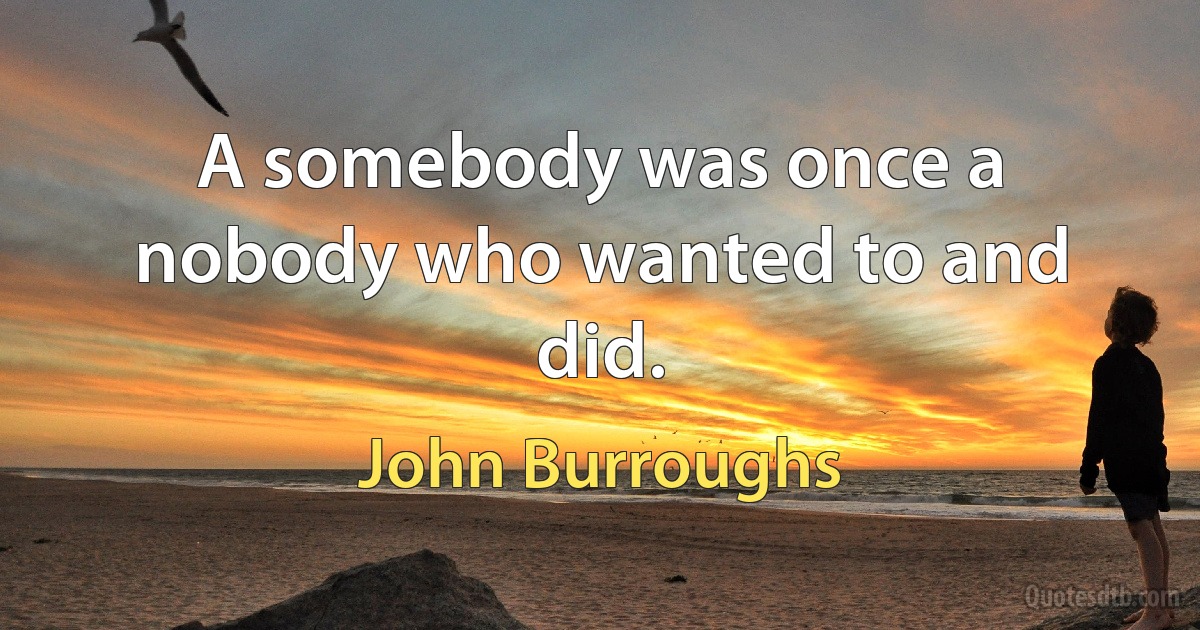 A somebody was once a nobody who wanted to and did. (John Burroughs)