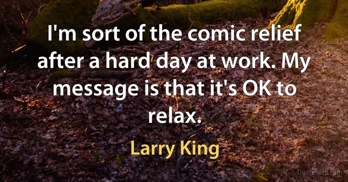 I'm sort of the comic relief after a hard day at work. My message is that it's OK to relax. (Larry King)