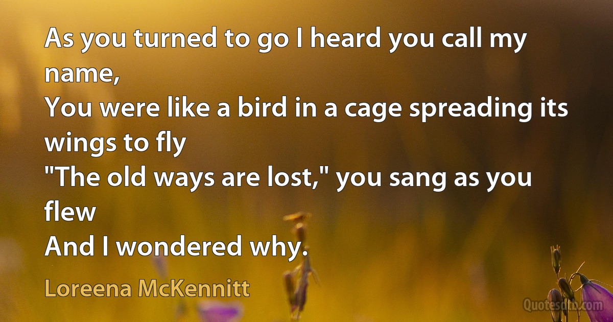 As you turned to go I heard you call my name,
You were like a bird in a cage spreading its wings to fly
"The old ways are lost," you sang as you flew
And I wondered why. (Loreena McKennitt)