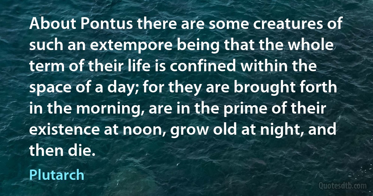 About Pontus there are some creatures of such an extempore being that the whole term of their life is confined within the space of a day; for they are brought forth in the morning, are in the prime of their existence at noon, grow old at night, and then die. (Plutarch)