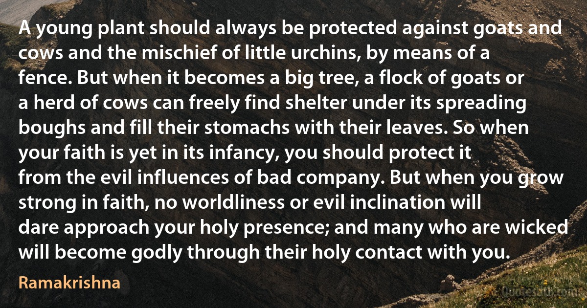 A young plant should always be protected against goats and cows and the mischief of little urchins, by means of a fence. But when it becomes a big tree, a flock of goats or a herd of cows can freely find shelter under its spreading boughs and fill their stomachs with their leaves. So when your faith is yet in its infancy, you should protect it from the evil influences of bad company. But when you grow strong in faith, no worldliness or evil inclination will dare approach your holy presence; and many who are wicked will become godly through their holy contact with you. (Ramakrishna)