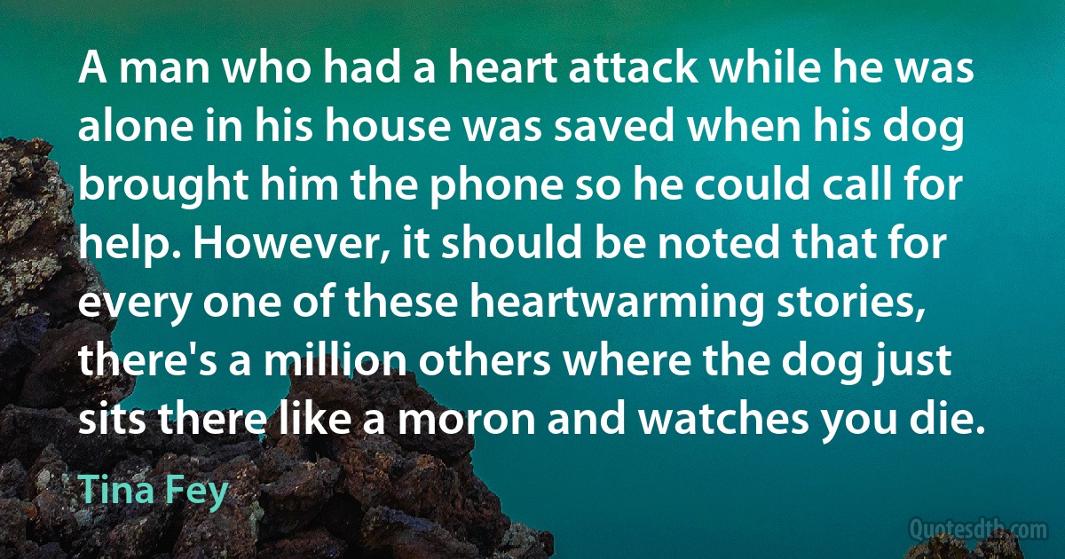 A man who had a heart attack while he was alone in his house was saved when his dog brought him the phone so he could call for help. However, it should be noted that for every one of these heartwarming stories, there's a million others where the dog just sits there like a moron and watches you die. (Tina Fey)