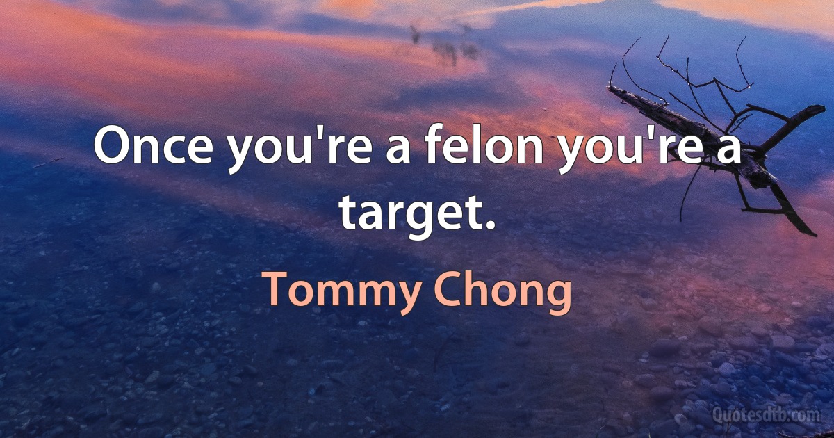 Once you're a felon you're a target. (Tommy Chong)