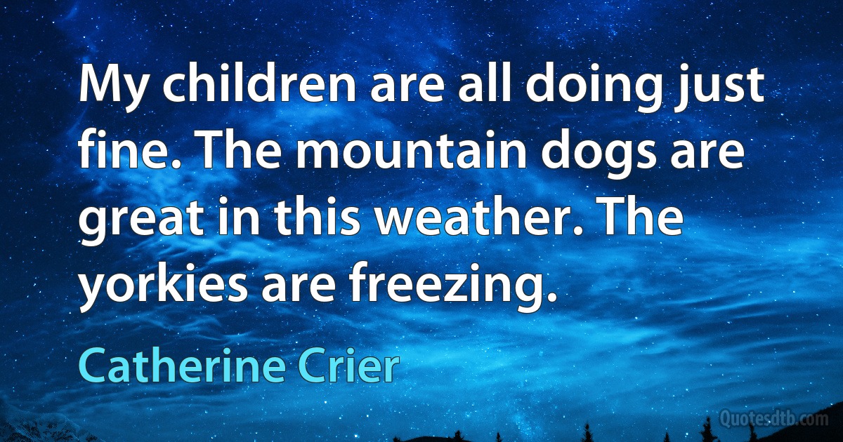 My children are all doing just fine. The mountain dogs are great in this weather. The yorkies are freezing. (Catherine Crier)