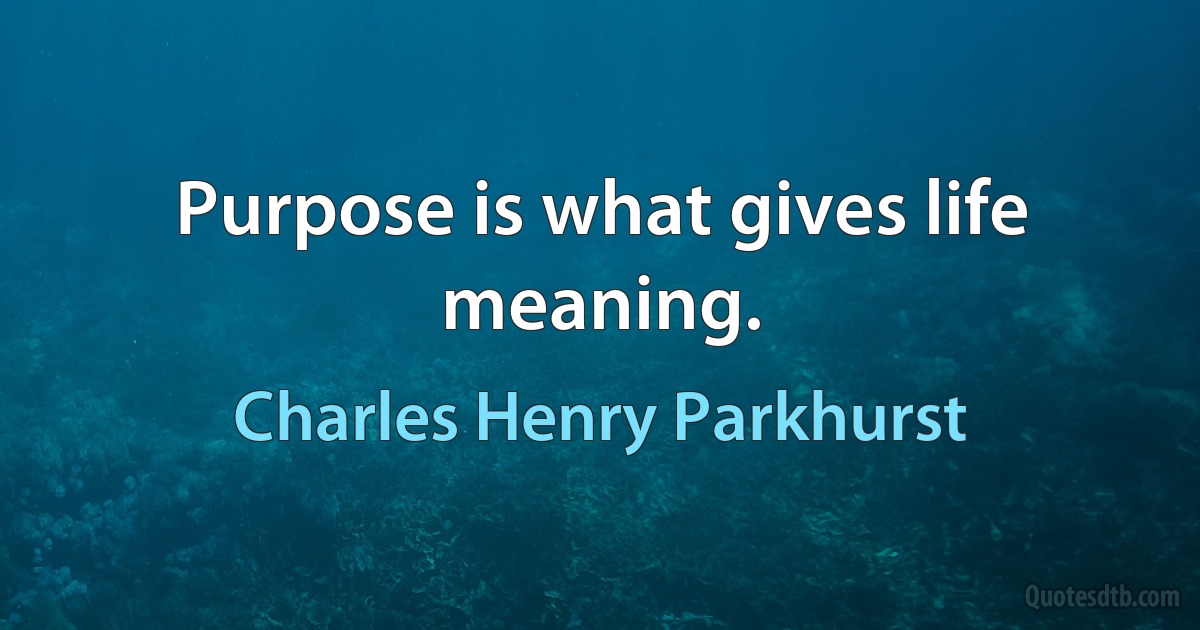 Purpose is what gives life meaning. (Charles Henry Parkhurst)