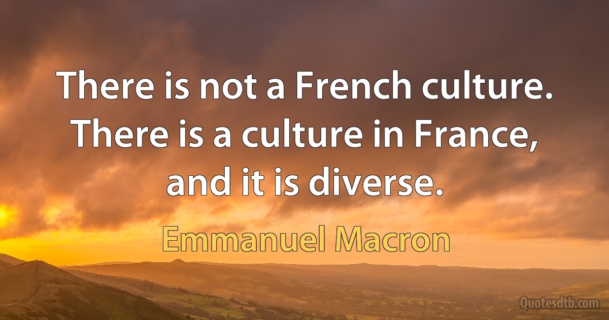 There is not a French culture. There is a culture in France, and it is diverse. (Emmanuel Macron)