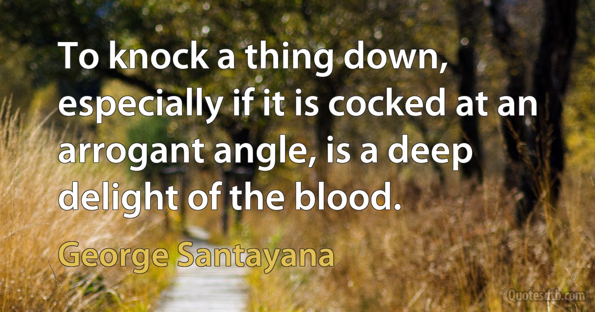 To knock a thing down, especially if it is cocked at an arrogant angle, is a deep delight of the blood. (George Santayana)