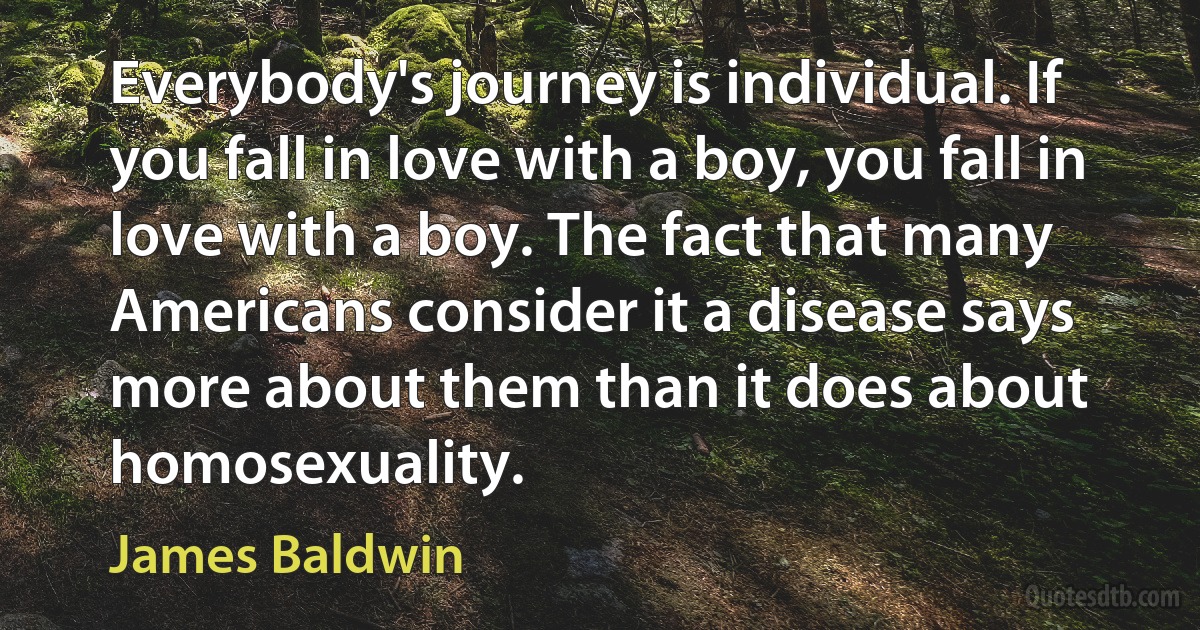 Everybody's journey is individual. If you fall in love with a boy, you fall in love with a boy. The fact that many Americans consider it a disease says more about them than it does about homosexuality. (James Baldwin)