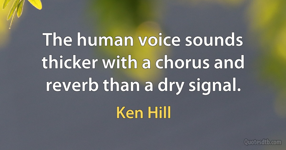 The human voice sounds thicker with a chorus and reverb than a dry signal. (Ken Hill)