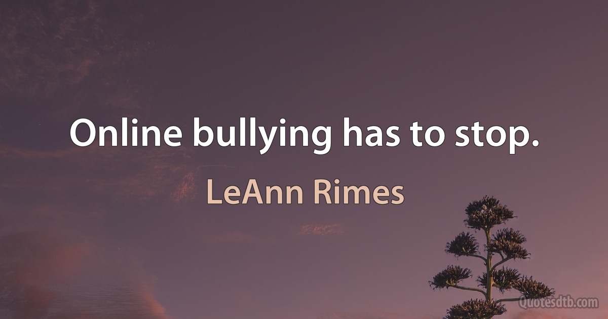 Online bullying has to stop. (LeAnn Rimes)