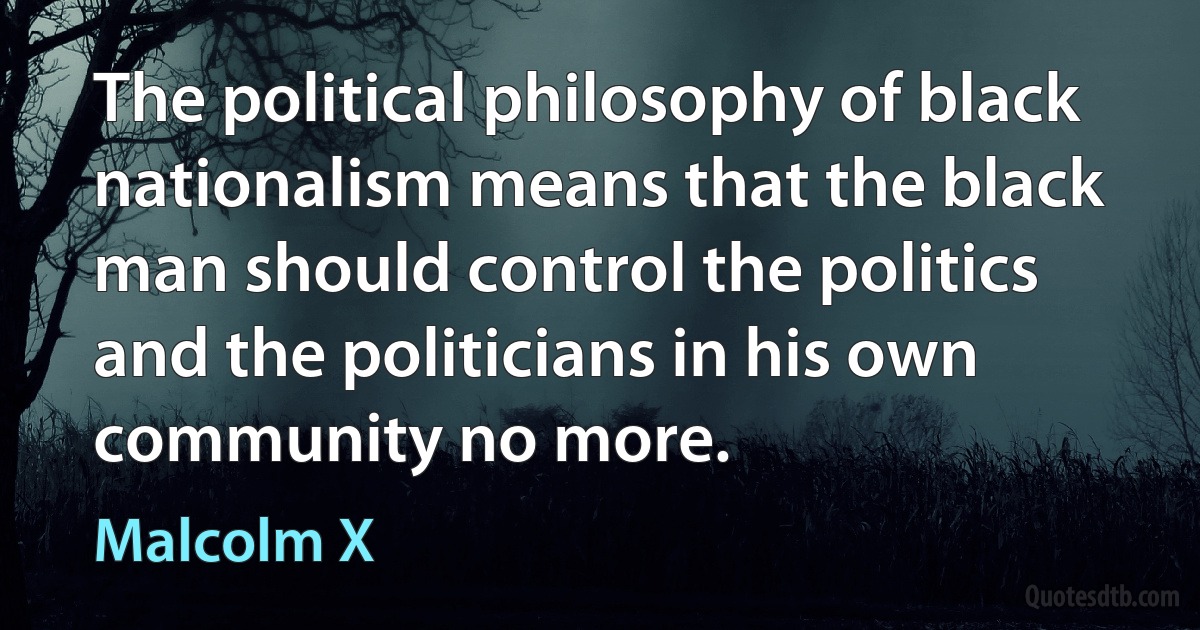 The political philosophy of black nationalism means that the black man should control the politics and the politicians in his own community no more. (Malcolm X)