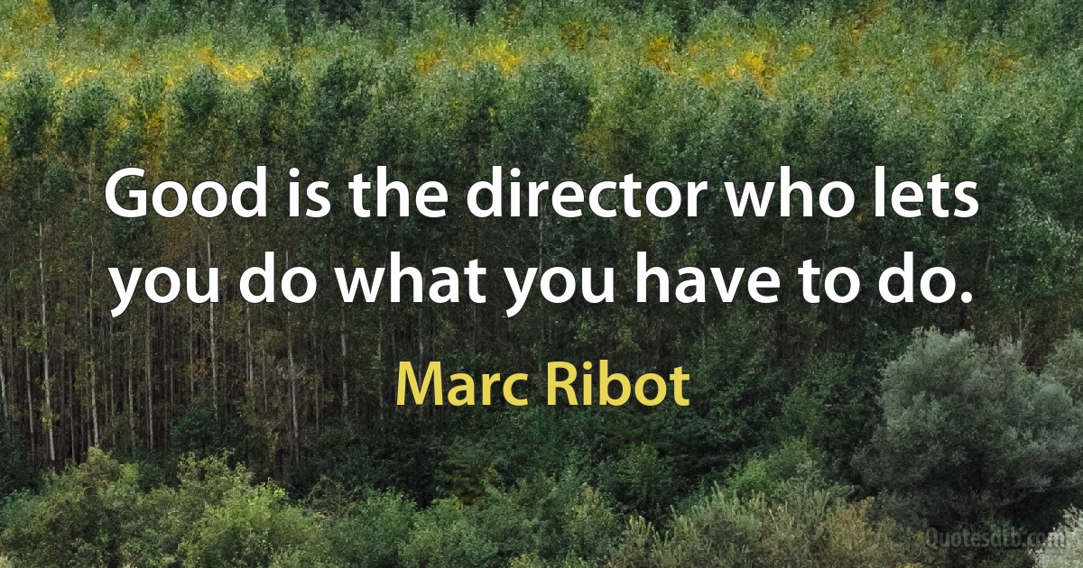 Good is the director who lets you do what you have to do. (Marc Ribot)