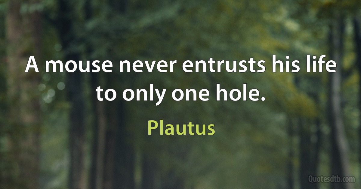 A mouse never entrusts his life to only one hole. (Plautus)