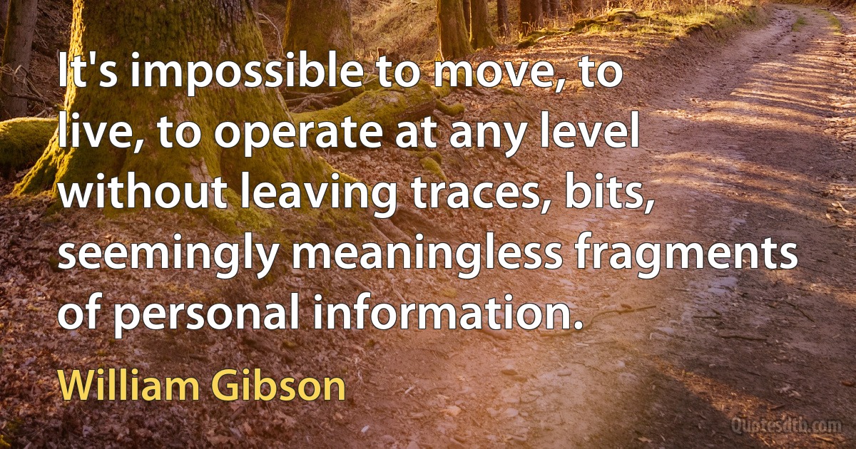 It's impossible to move, to live, to operate at any level without leaving traces, bits, seemingly meaningless fragments of personal information. (William Gibson)