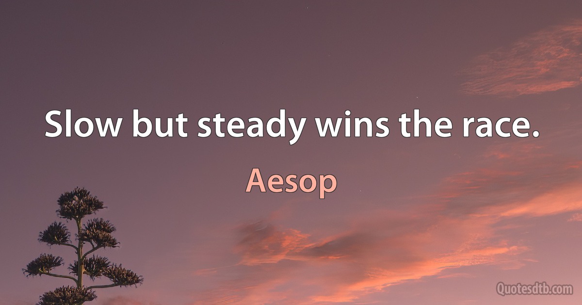 Slow but steady wins the race. (Aesop)