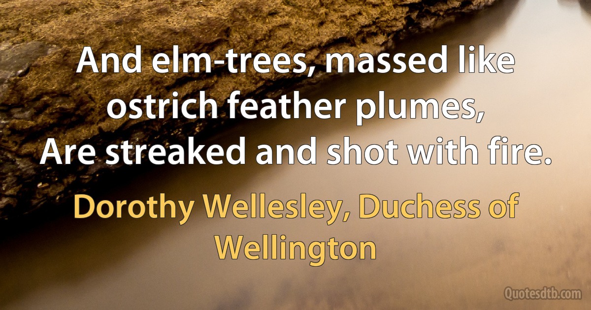 And elm-trees, massed like ostrich feather plumes,
Are streaked and shot with fire. (Dorothy Wellesley, Duchess of Wellington)