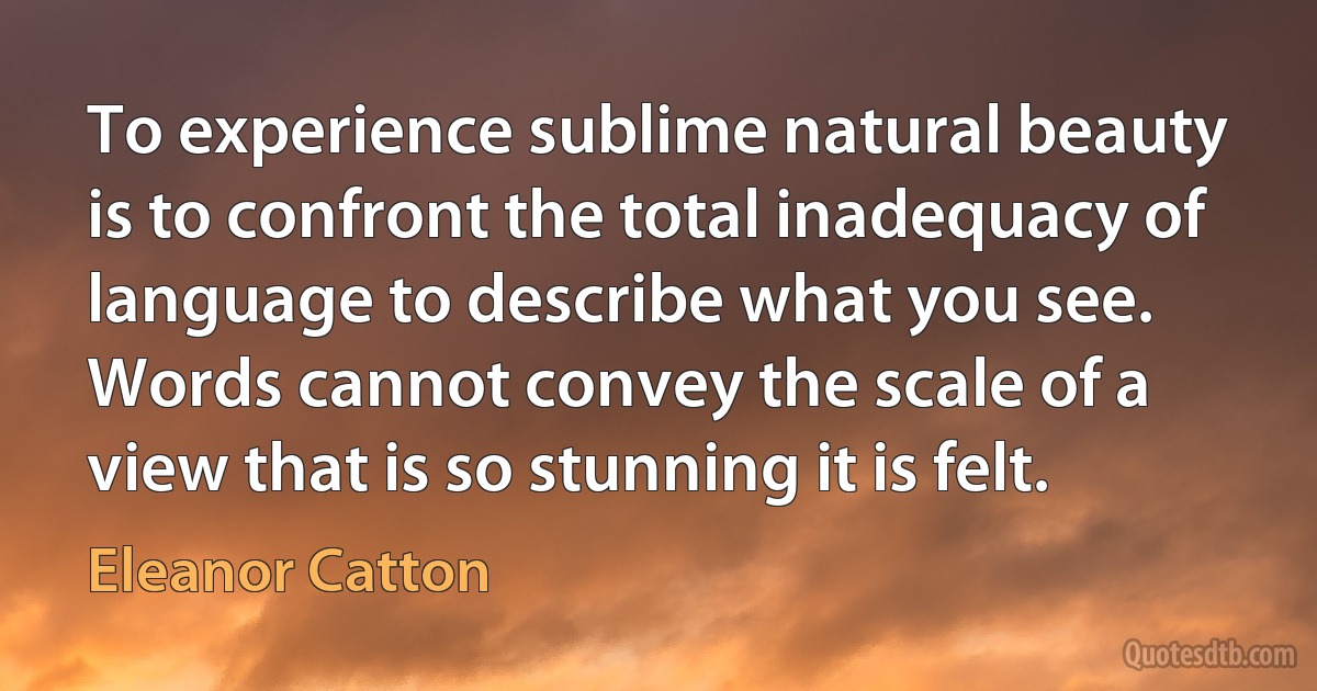 To experience sublime natural beauty is to confront the total inadequacy of language to describe what you see. Words cannot convey the scale of a view that is so stunning it is felt. (Eleanor Catton)