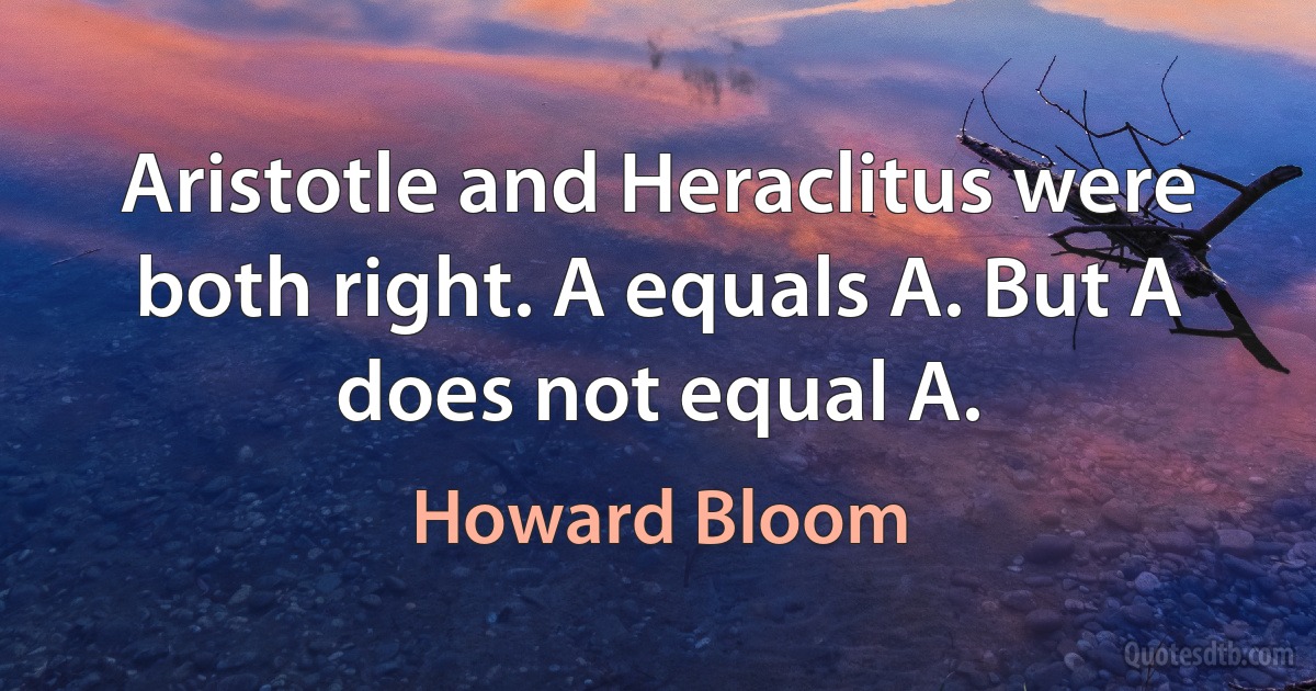 Aristotle and Heraclitus were both right. A equals A. But A does not equal A. (Howard Bloom)