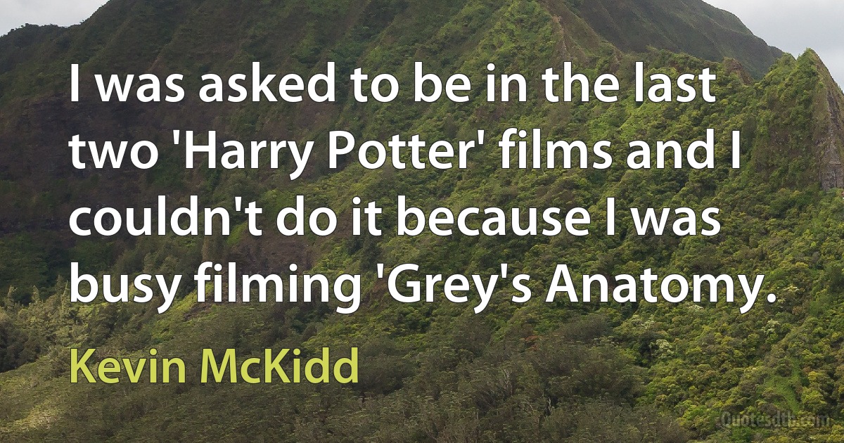 I was asked to be in the last two 'Harry Potter' films and I couldn't do it because I was busy filming 'Grey's Anatomy. (Kevin McKidd)