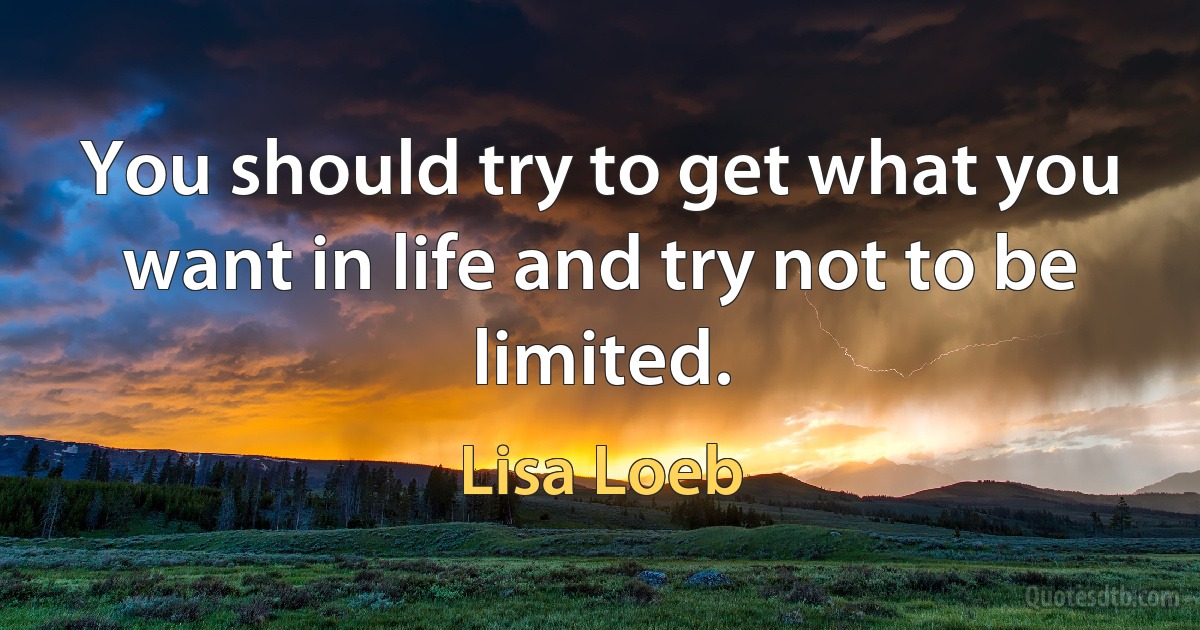 You should try to get what you want in life and try not to be limited. (Lisa Loeb)