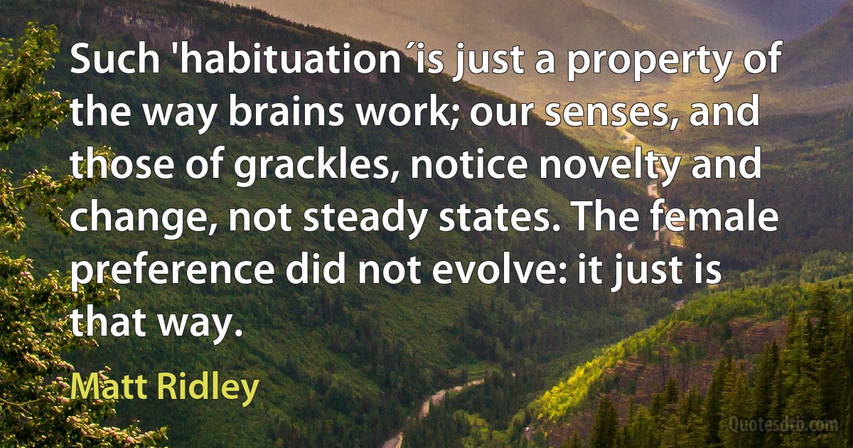 Such 'habituation´is just a property of the way brains work; our senses, and those of grackles, notice novelty and change, not steady states. The female preference did not evolve: it just is that way. (Matt Ridley)