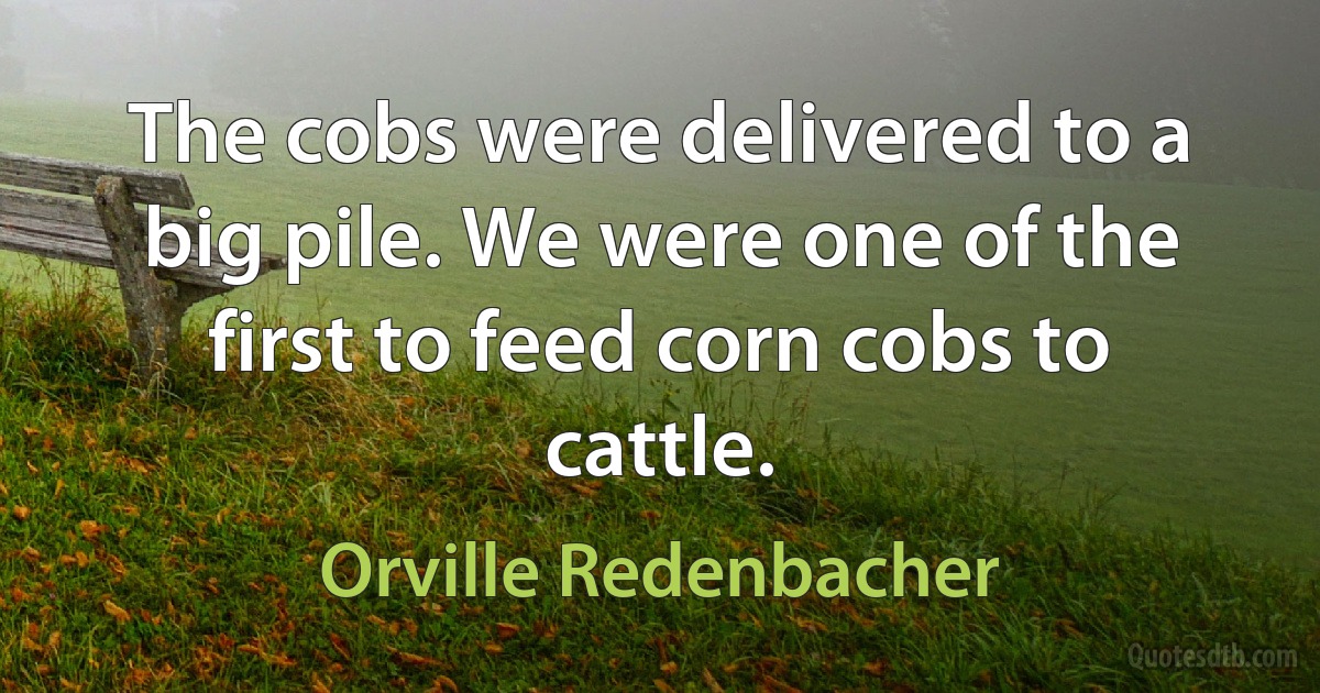 The cobs were delivered to a big pile. We were one of the first to feed corn cobs to cattle. (Orville Redenbacher)