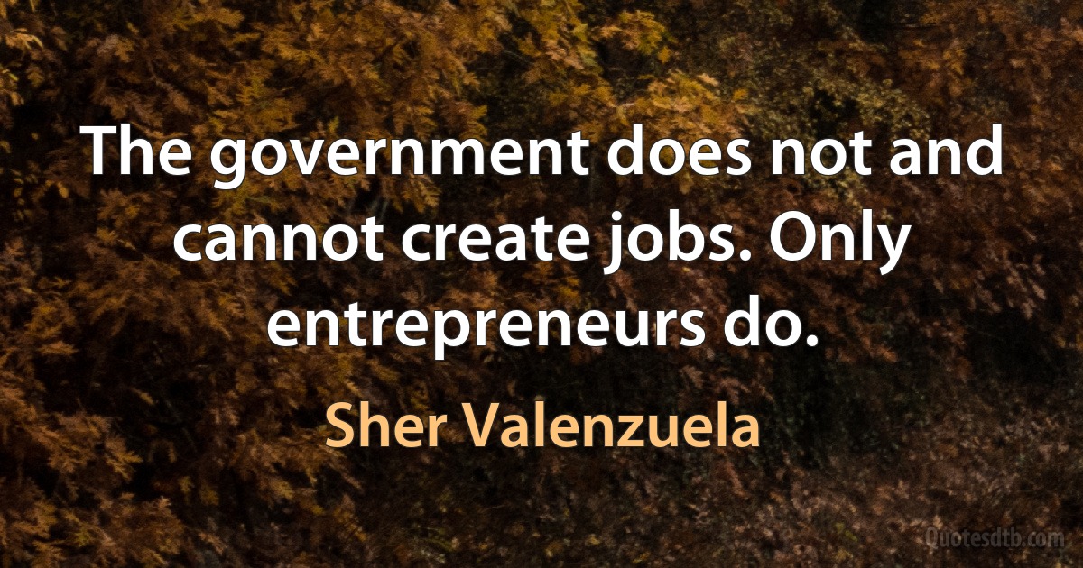 The government does not and cannot create jobs. Only entrepreneurs do. (Sher Valenzuela)