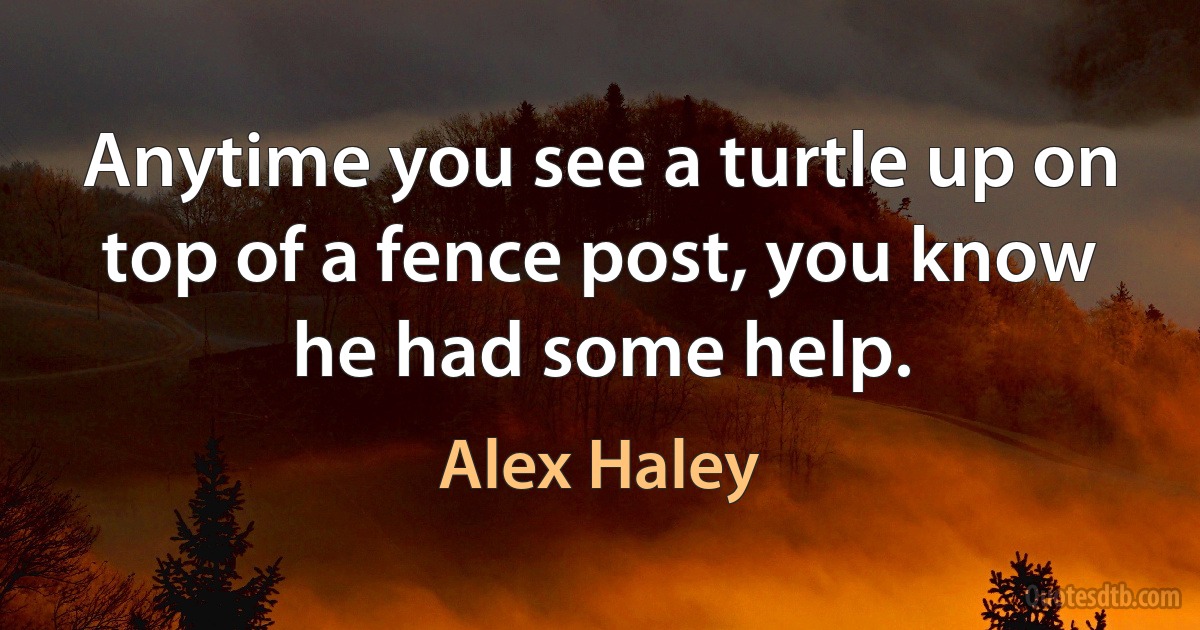 Anytime you see a turtle up on top of a fence post, you know he had some help. (Alex Haley)