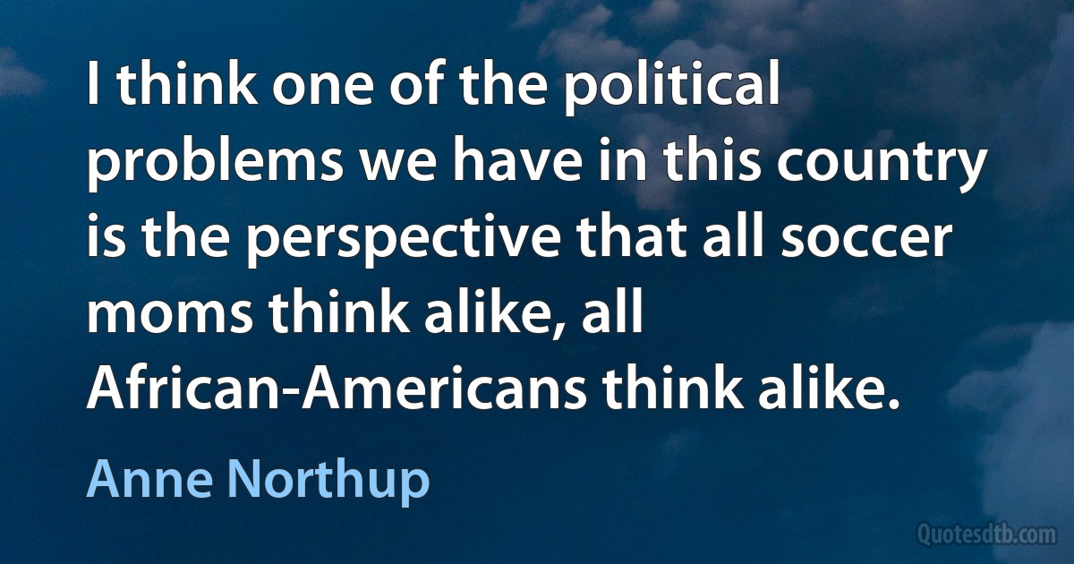 I think one of the political problems we have in this country is the perspective that all soccer moms think alike, all African-Americans think alike. (Anne Northup)