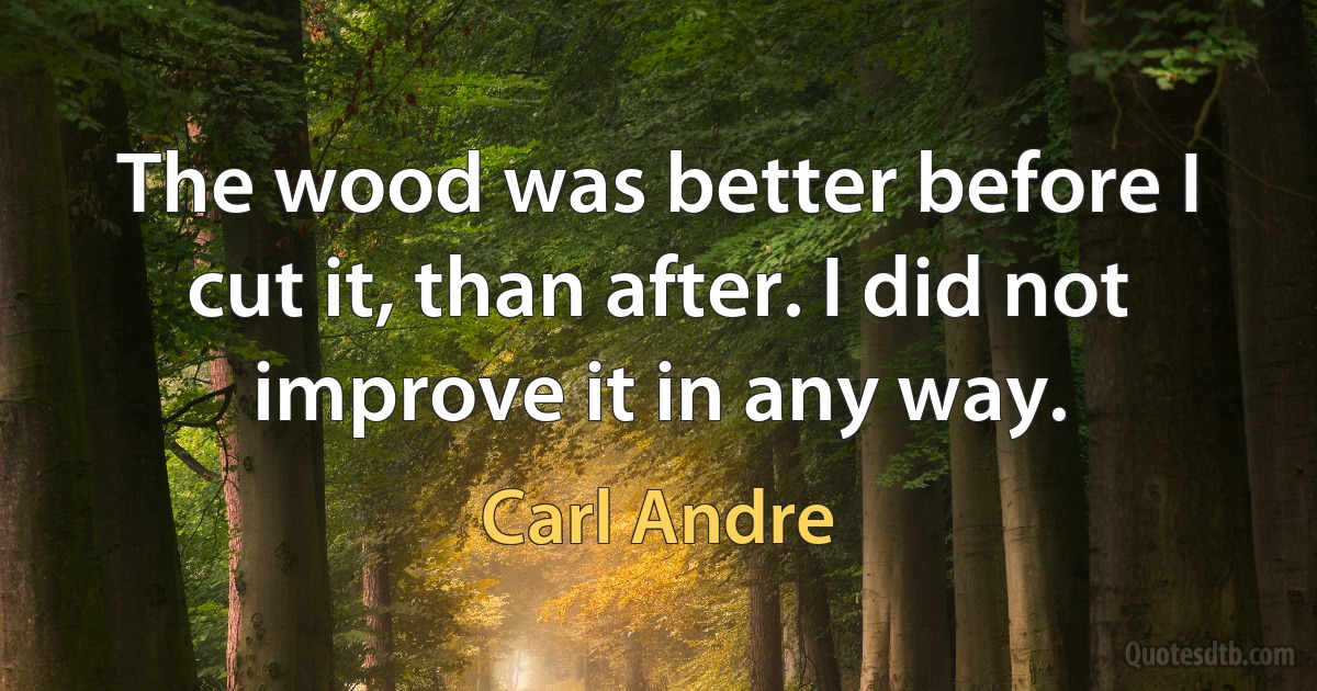 The wood was better before I cut it, than after. I did not improve it in any way. (Carl Andre)