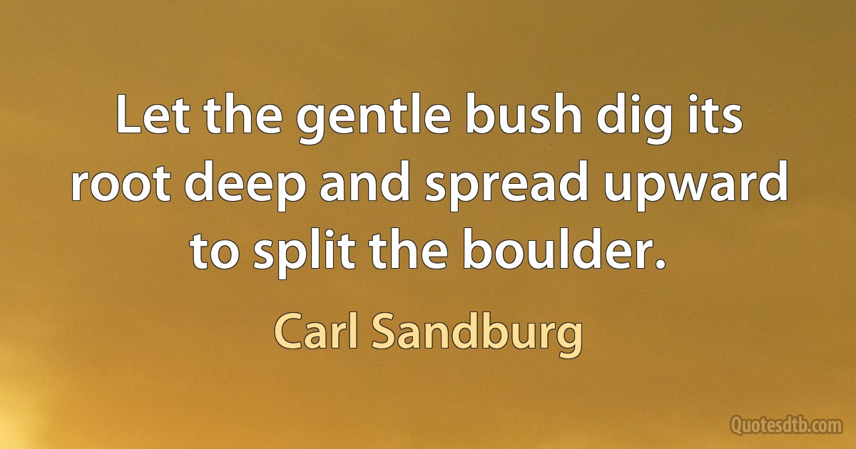 Let the gentle bush dig its root deep and spread upward to split the boulder. (Carl Sandburg)