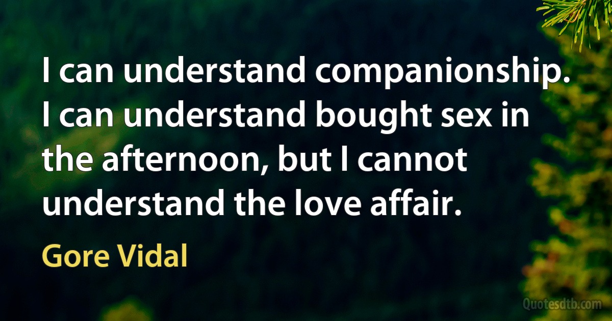 I can understand companionship. I can understand bought sex in the afternoon, but I cannot understand the love affair. (Gore Vidal)