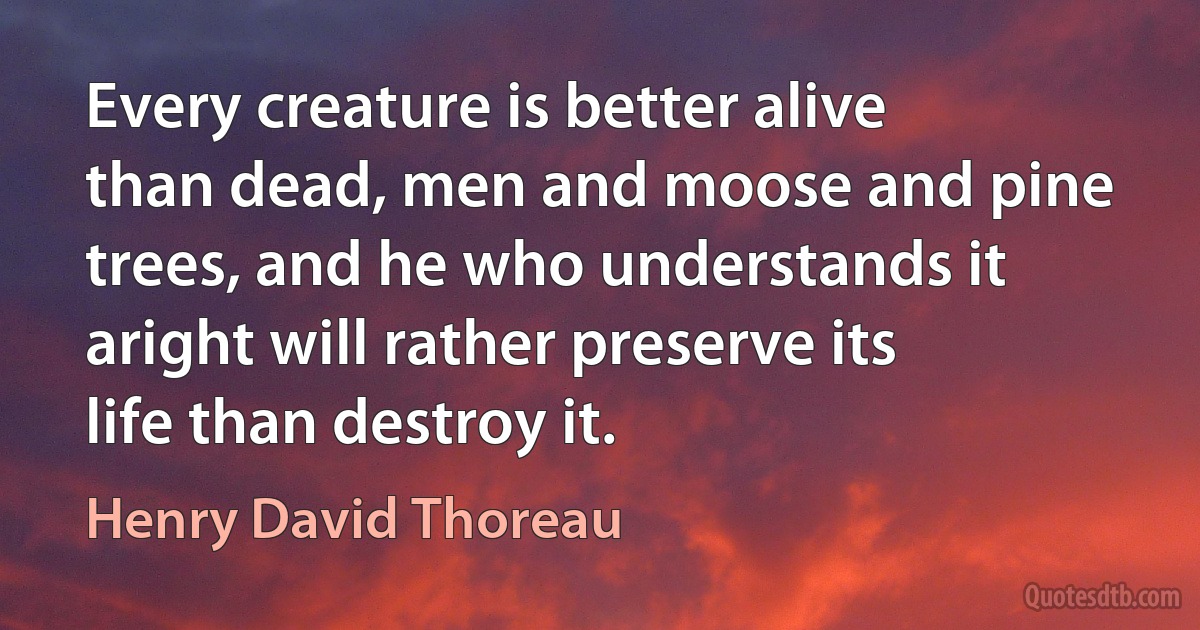 Every creature is better alive than dead, men and moose and pine trees, and he who understands it aright will rather preserve its life than destroy it. (Henry David Thoreau)